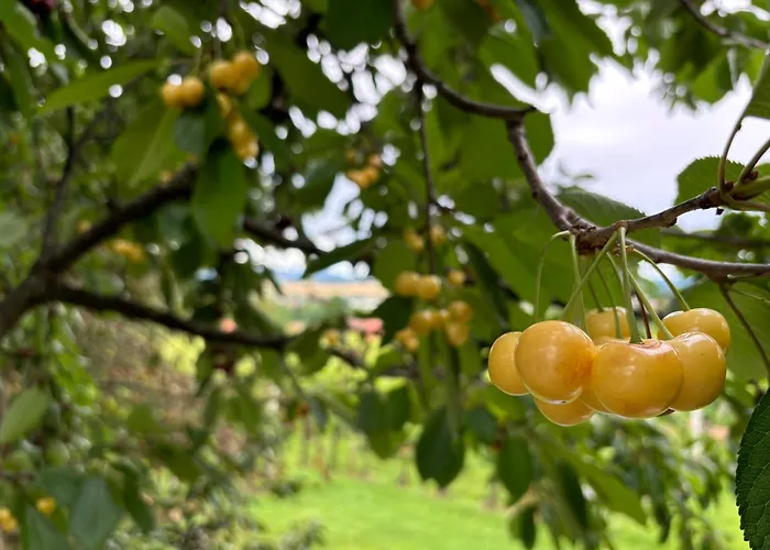 別荘 Sweet Hideout *